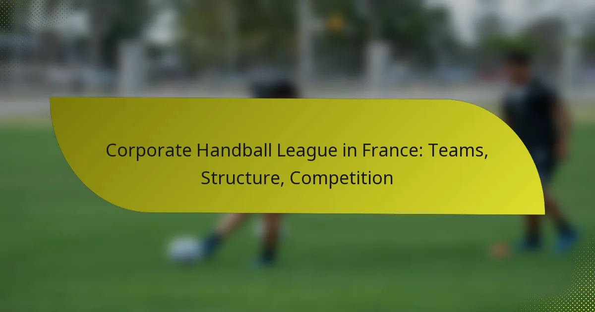 Corporate Handball League in France: Teams, Structure, Competition