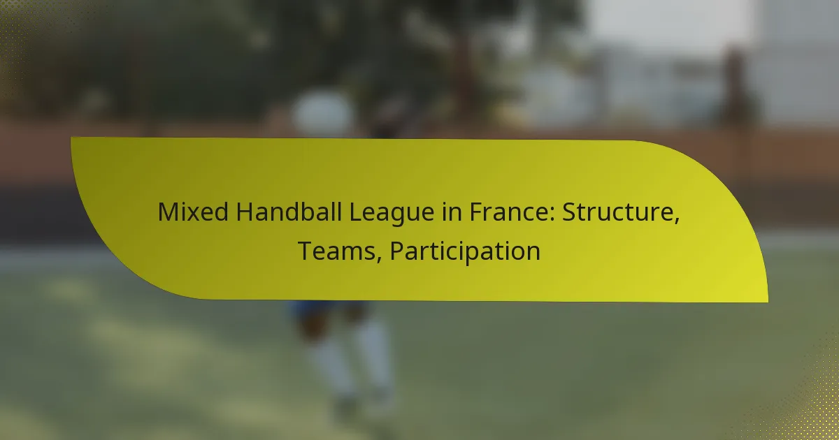 Mixed Handball League in France: Structure, Teams, Participation