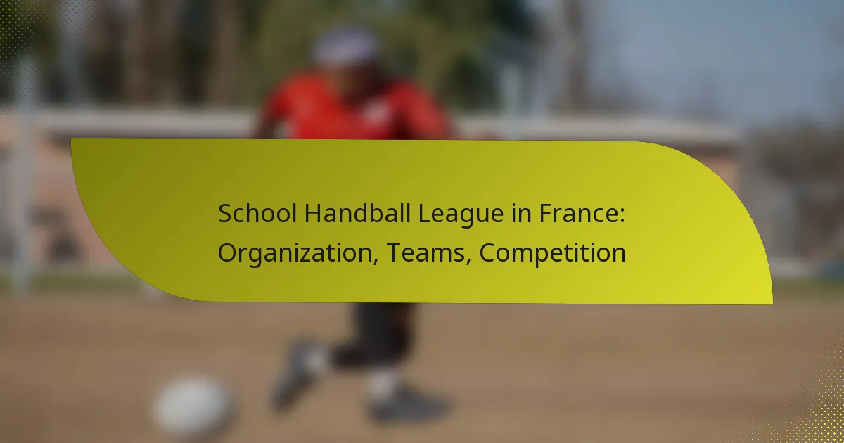 School Handball League in France: Organization, Teams, Competition