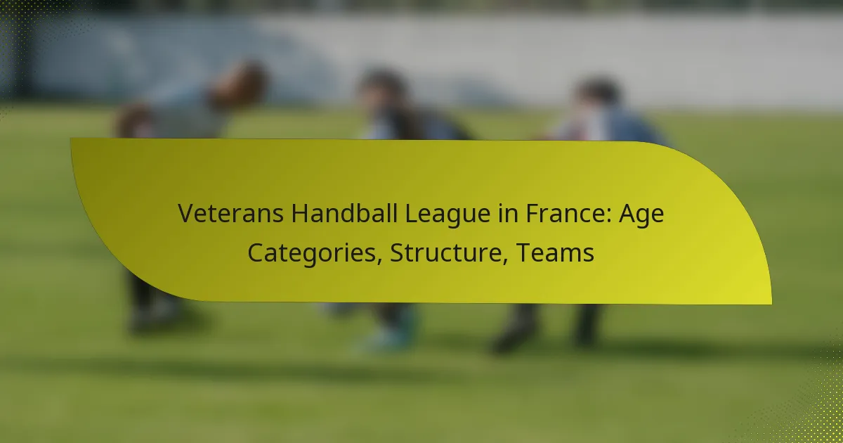 Veterans Handball League in France: Age Categories, Structure, Teams