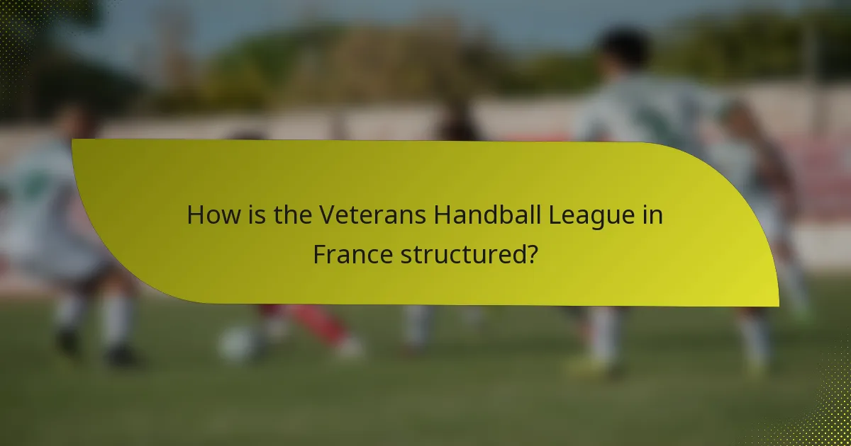How is the Veterans Handball League in France structured?