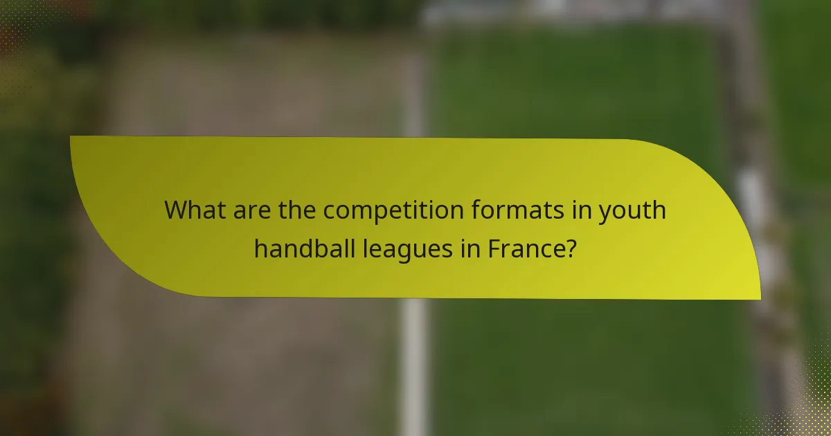 What are the competition formats in youth handball leagues in France?