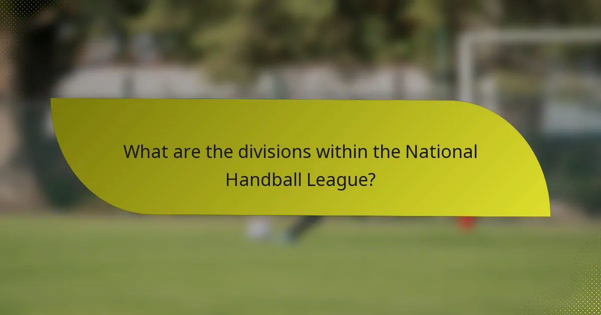 What are the divisions within the National Handball League?