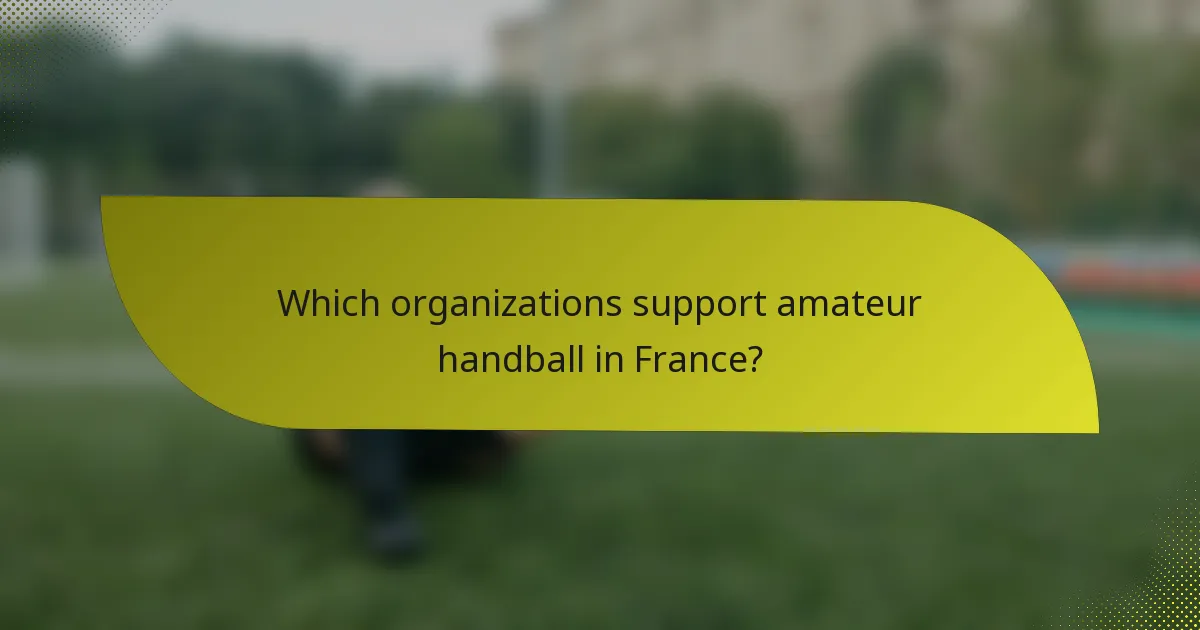 Which organizations support amateur handball in France?