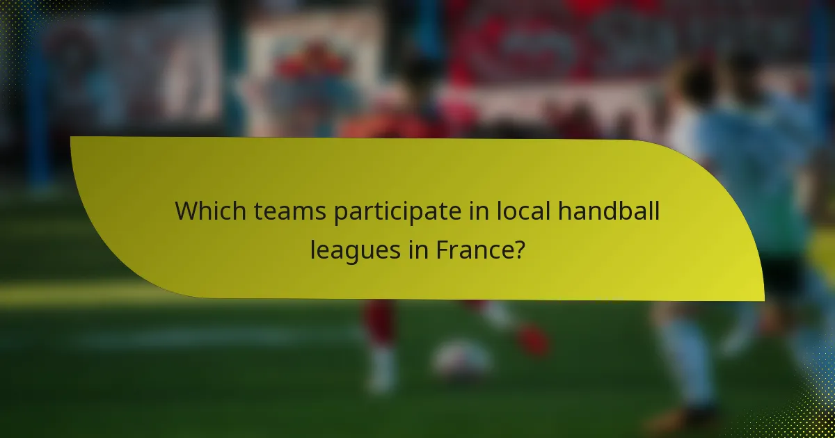 Which teams participate in local handball leagues in France?