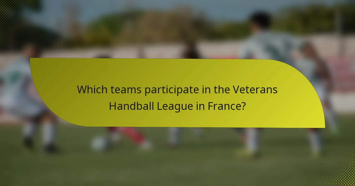 Which teams participate in the Veterans Handball League in France?
