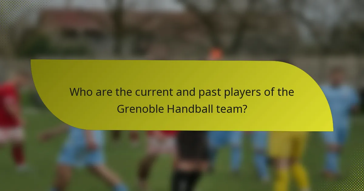 Who are the current and past players of the Grenoble Handball team?