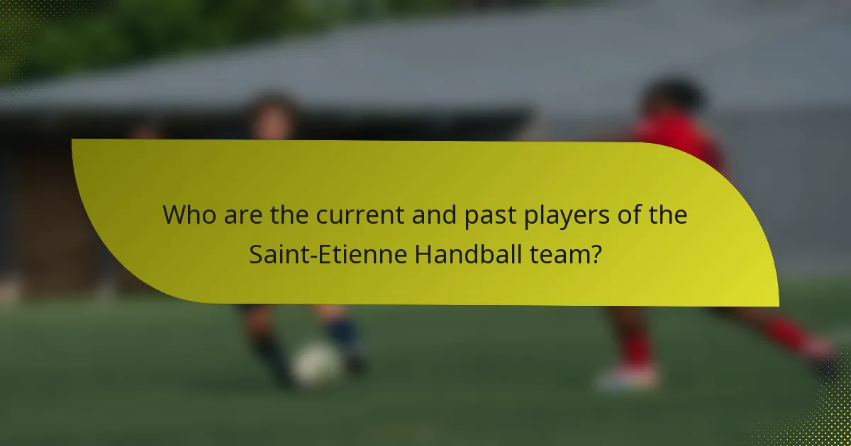 Who are the current and past players of the Saint-Etienne Handball team?