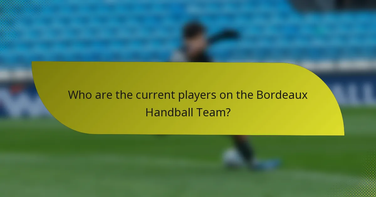 Who are the current players on the Bordeaux Handball Team?